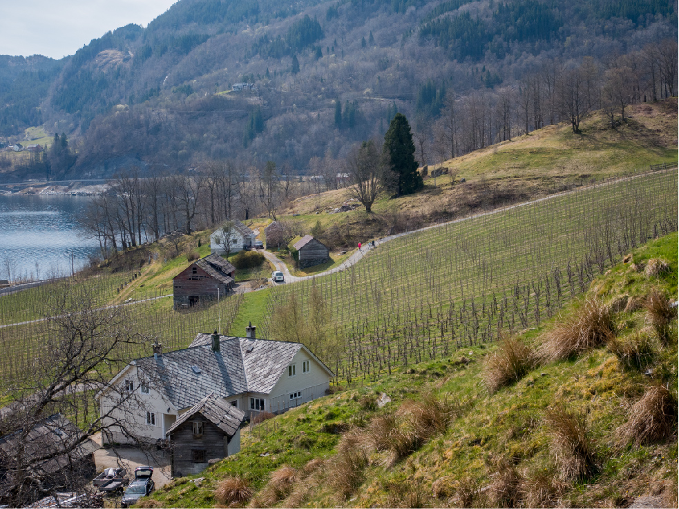 Landscape Photo 1