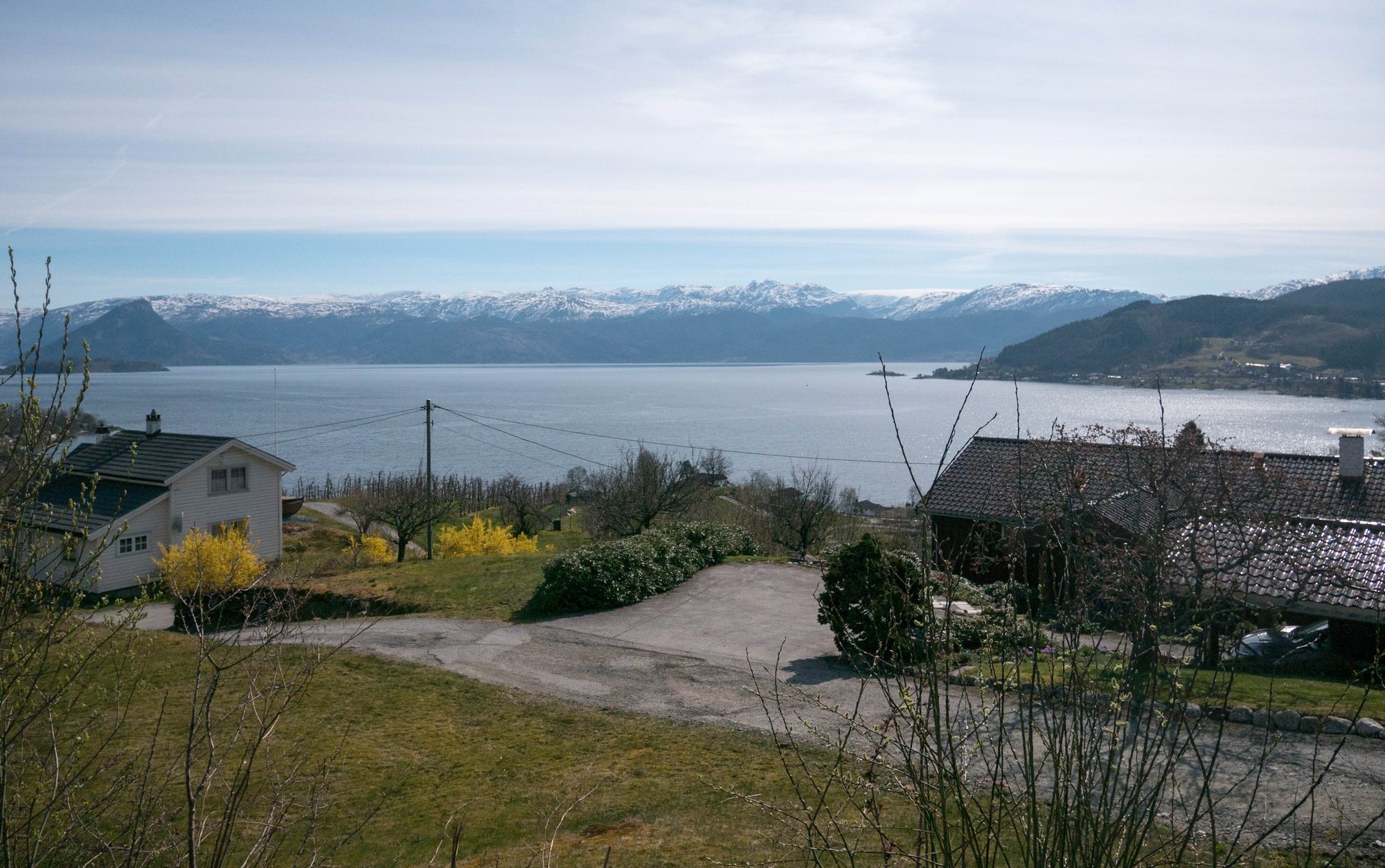 Landscape Photo 3